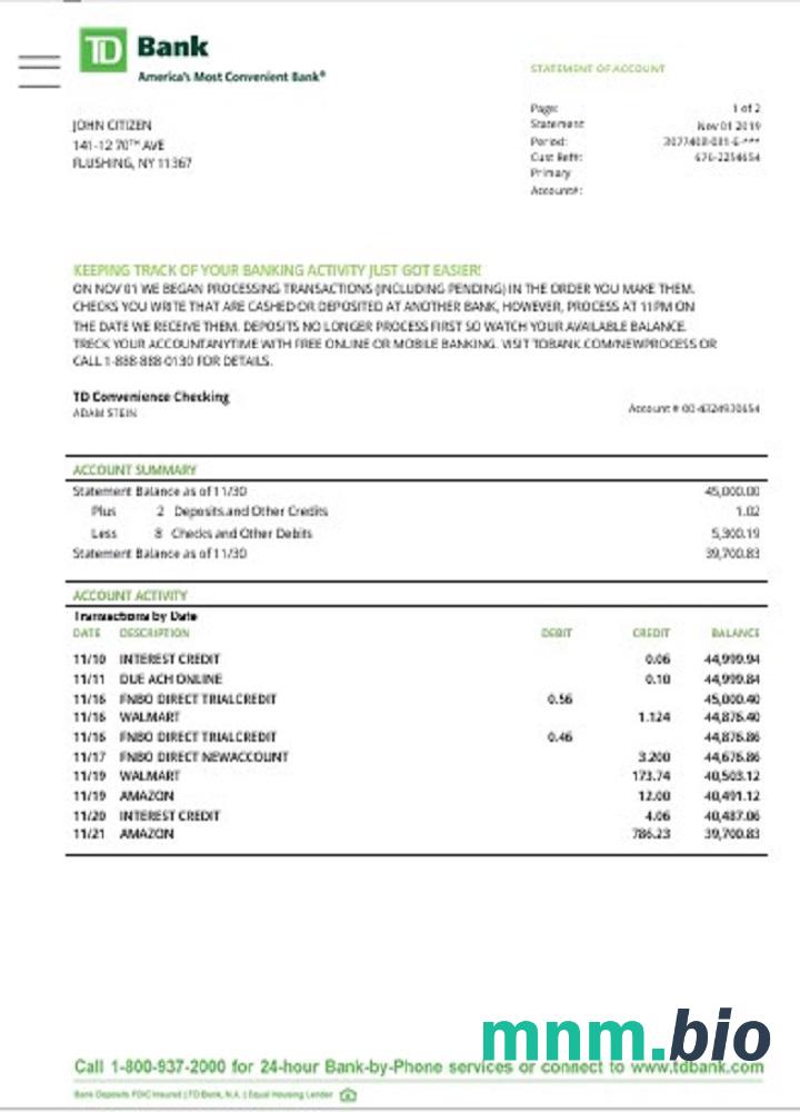 Szablon wyciągu bankowego USA TD w .xls i .format pliku pdf